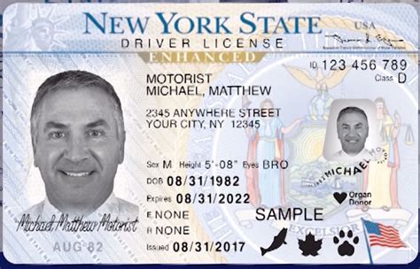 what is enhanced driver's license